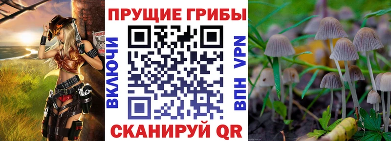 Галлюциногенные грибы GOLDEN TEACHER  Яблоновский 